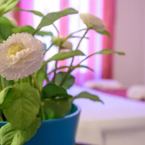 Housestation Apartament Palermo